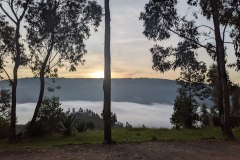 mist2